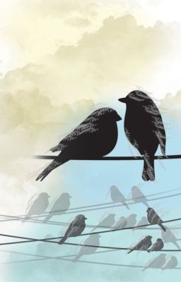 Two Birds (On A Wire): LMK Story