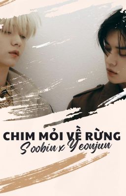 [TXT - Soojun] Chim mỏi về rừng