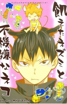 Ueta Nezumi To Fukigen Na Neko manga, Haikyuu! HUN