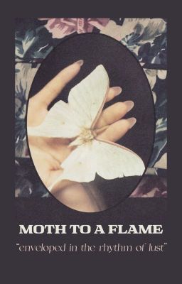 UMETAKII/ENDOTAKII | Moth To A Flame