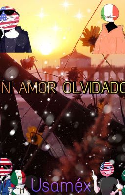 Un Amor Olvidado Usaméx