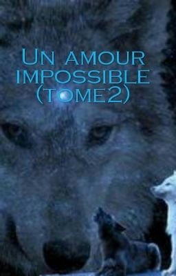 Un Amour Impossible (tome2)[EN PAUSE]