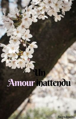 Un Amour inattendu