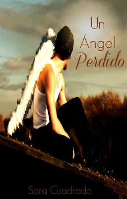 Un Ángel Perdido