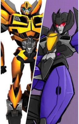 un bot y una con(bumblebee x skywarp fem)