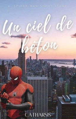 Un ciel de béton || Spider-man