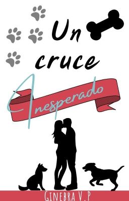 Un Cruce Inesperado