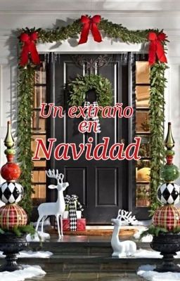 Un extraño en navidad