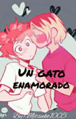 Un Gato Enamorado KenHina