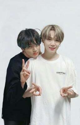 ¿Un hibrido y un omega pueden estar juntos? Yoonkook