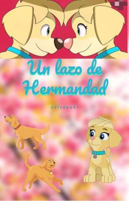 Un lazo de hermandad