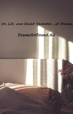 Un Lit, une Saint-Valentin, et Dream. [DreamNotFound]