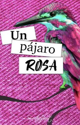 Un Pájaro Rosa ✨