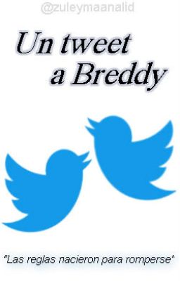 Un tweet a Breddy. (Breddy Moyva) (OS)