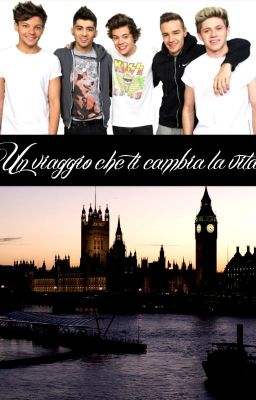 Un viaggio che ti cambia la vita //One Direction