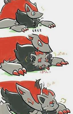 •°•un zoroark travieso °●[comic]●°