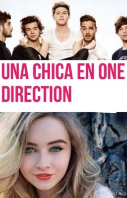 Una chica en one direction