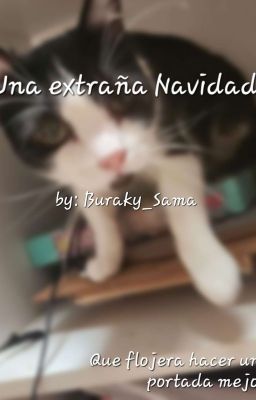 Una extraña navidad (Light x Mikado)