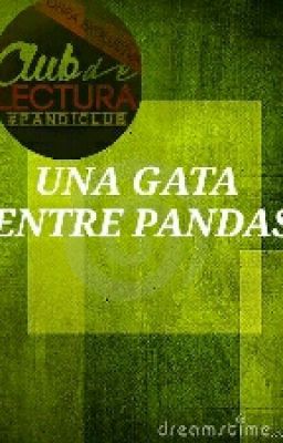 Una gata entre pandas #Pandiclub