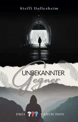 Unbekannter Gegner (Drei Fragezeichen Fanfiction)