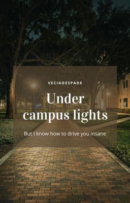 Under campus lights