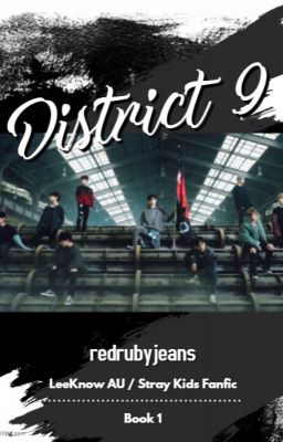 *UNDER CONSTRUCTION* District 9 [LeeKnow AU/Stray Kids Fanfic] BOOK 1