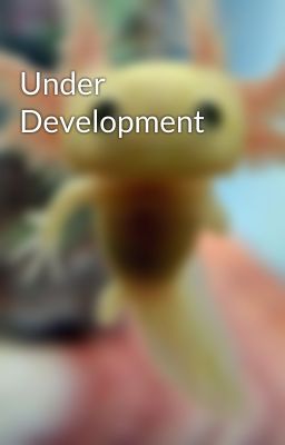Under Development