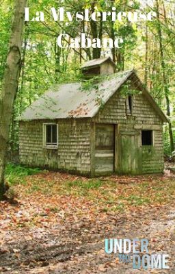 Under The Dome - La Mystérieuse Cabane