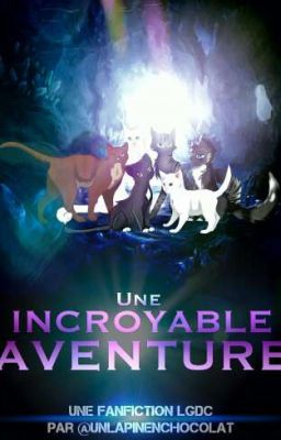 Une incroyable aventure