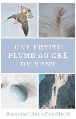 Une petite plume au gré du vent