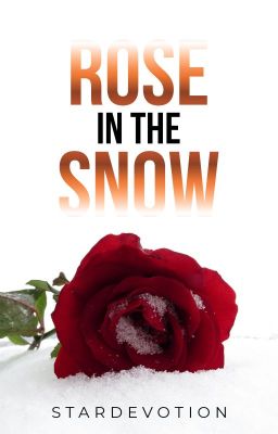 Une rose dans la neige