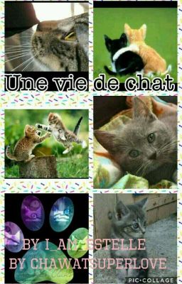 Une Vie De Chat [EN PAUSE]