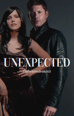 Unexpected | D. Winchester