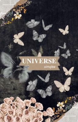 ✓ Universe