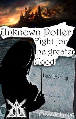 Unknown Potter III - Fight for the greater Good