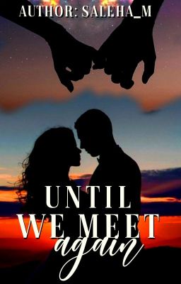 Until We Meet Again (Completed)