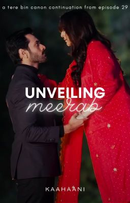 Unveiling Meerab [Tere Bin FF]