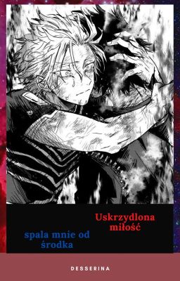 Uskrzydlona miłość spala mnie od środka [Hawks x Dabi]