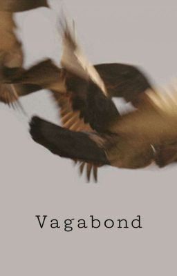 Vagabond