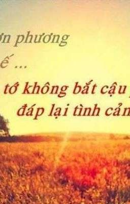 Vài lời gửi đến 