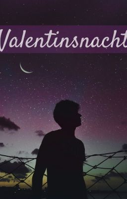 Valentinsnacht [Oneshot]