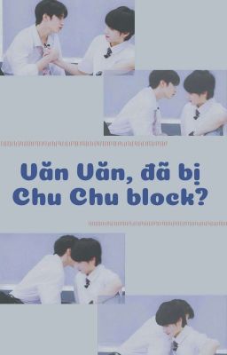 Văn Văn, đã bị Chu Chu block?