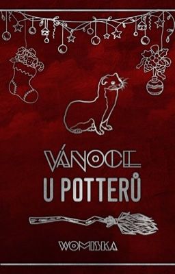 Vánoce u Potterů ✔ (Adventní Drarry Czech)