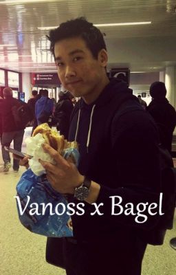 Vanoss x Bagel (a very not romantic story)