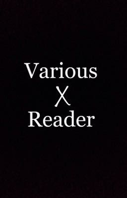 Various X Reader