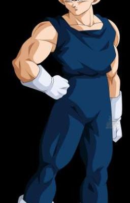 Vegeta en Sonic 