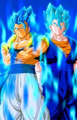 Vegito and Gogeta meet