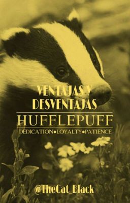 Ventajas y Desventajas de Hufflepuff