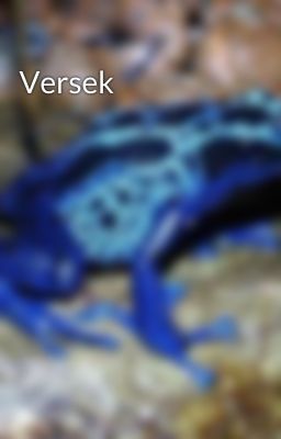 Versek