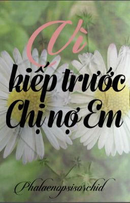 Vì kiếp trước chị nợ em